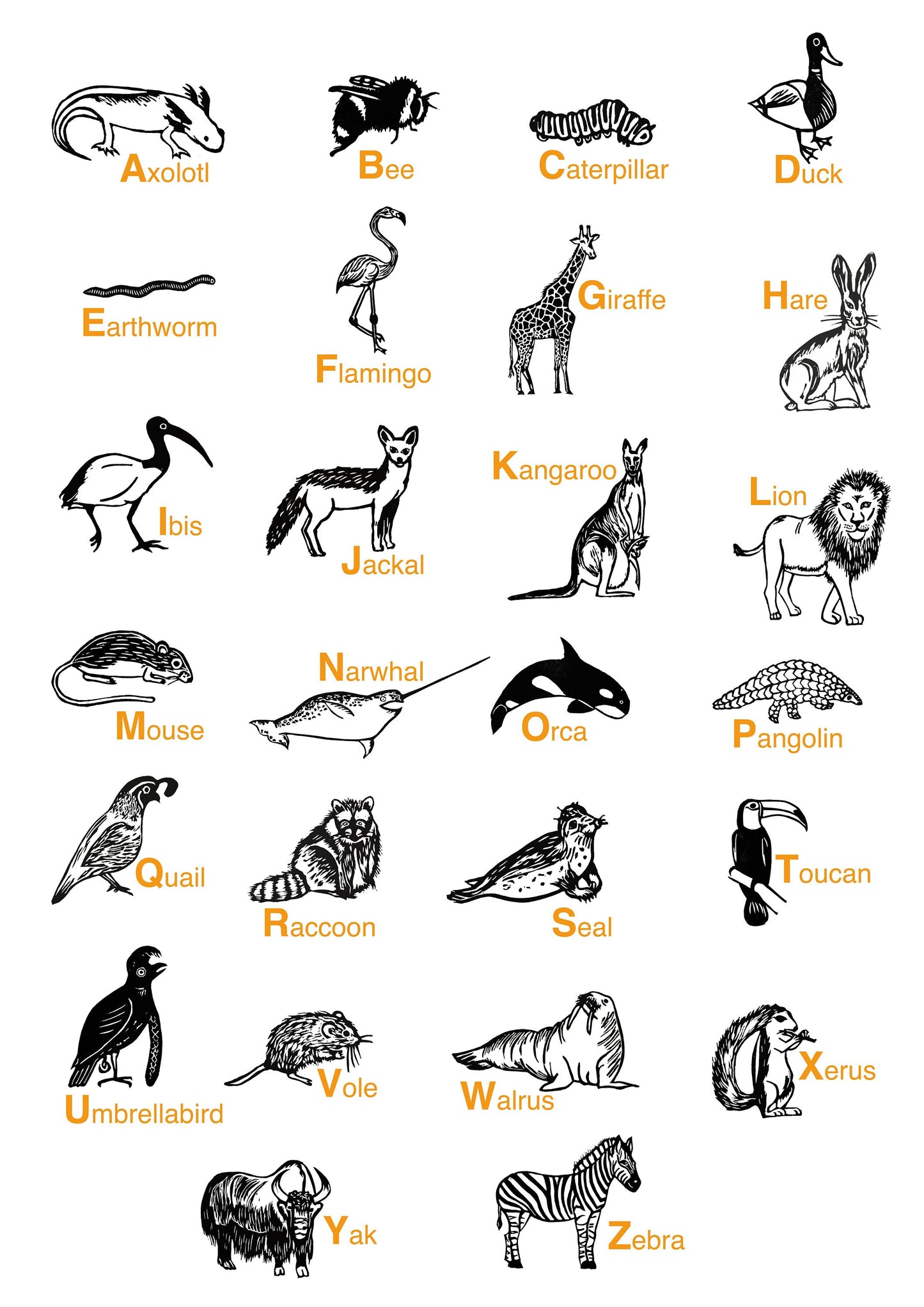 Animal Alphabet