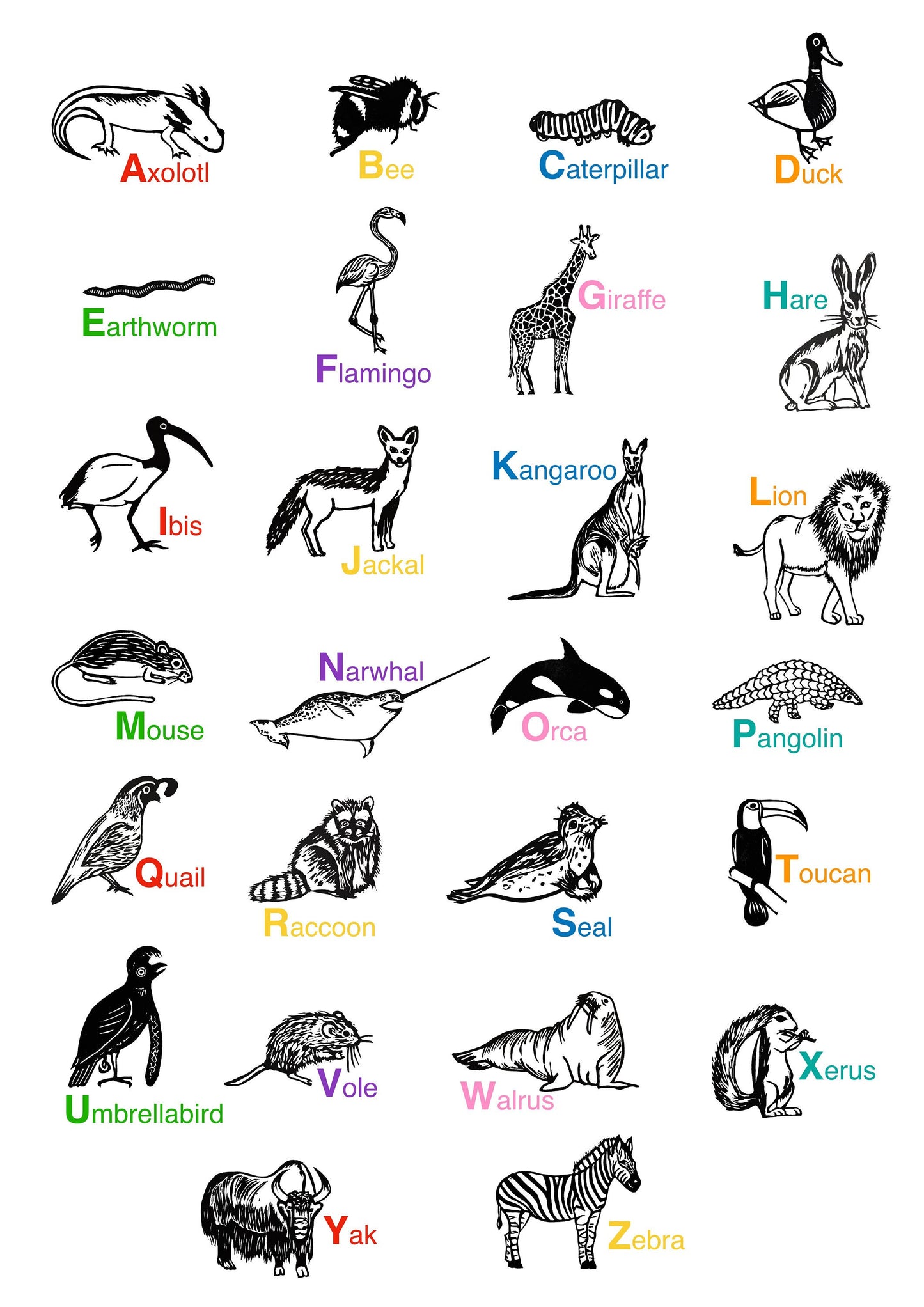 Animal Alphabet