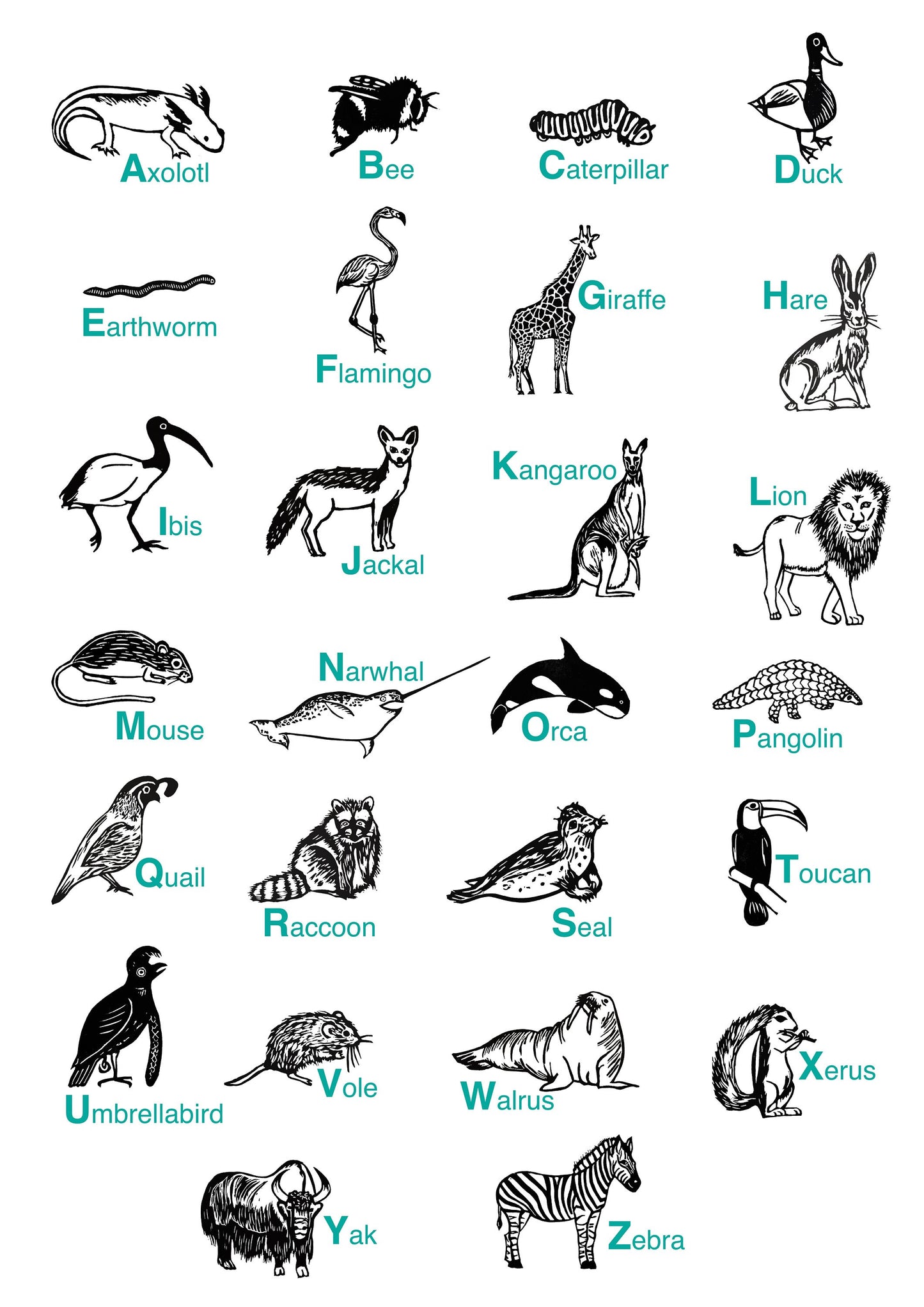 Animal Alphabet