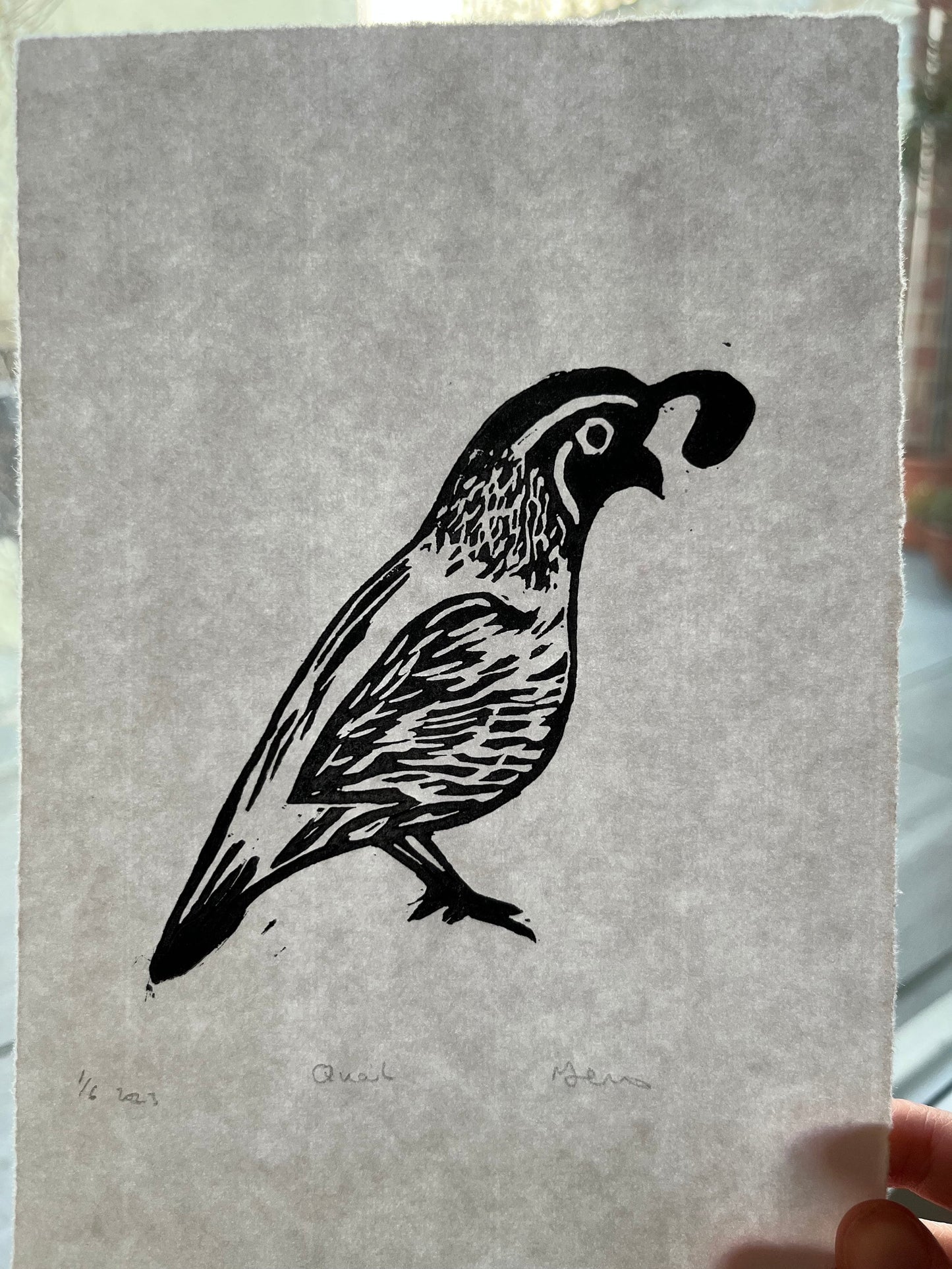 Quail Lino print