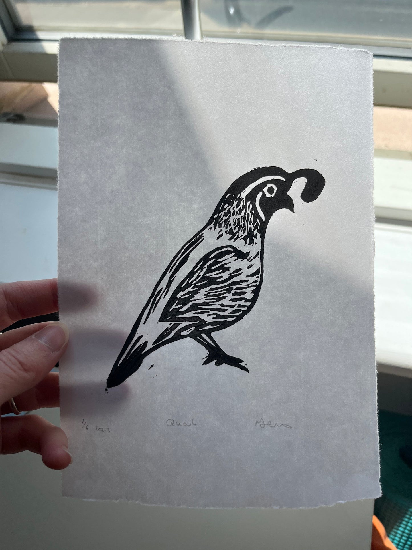 Quail Lino print