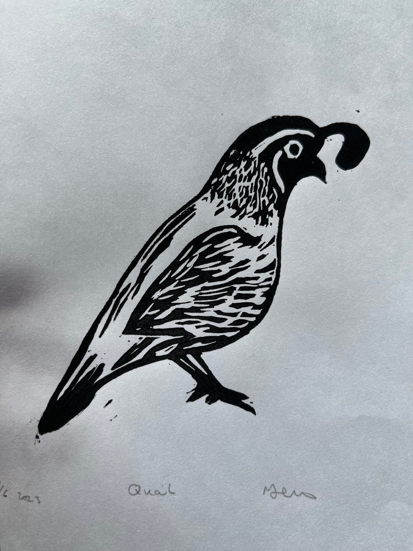 Quail Lino print